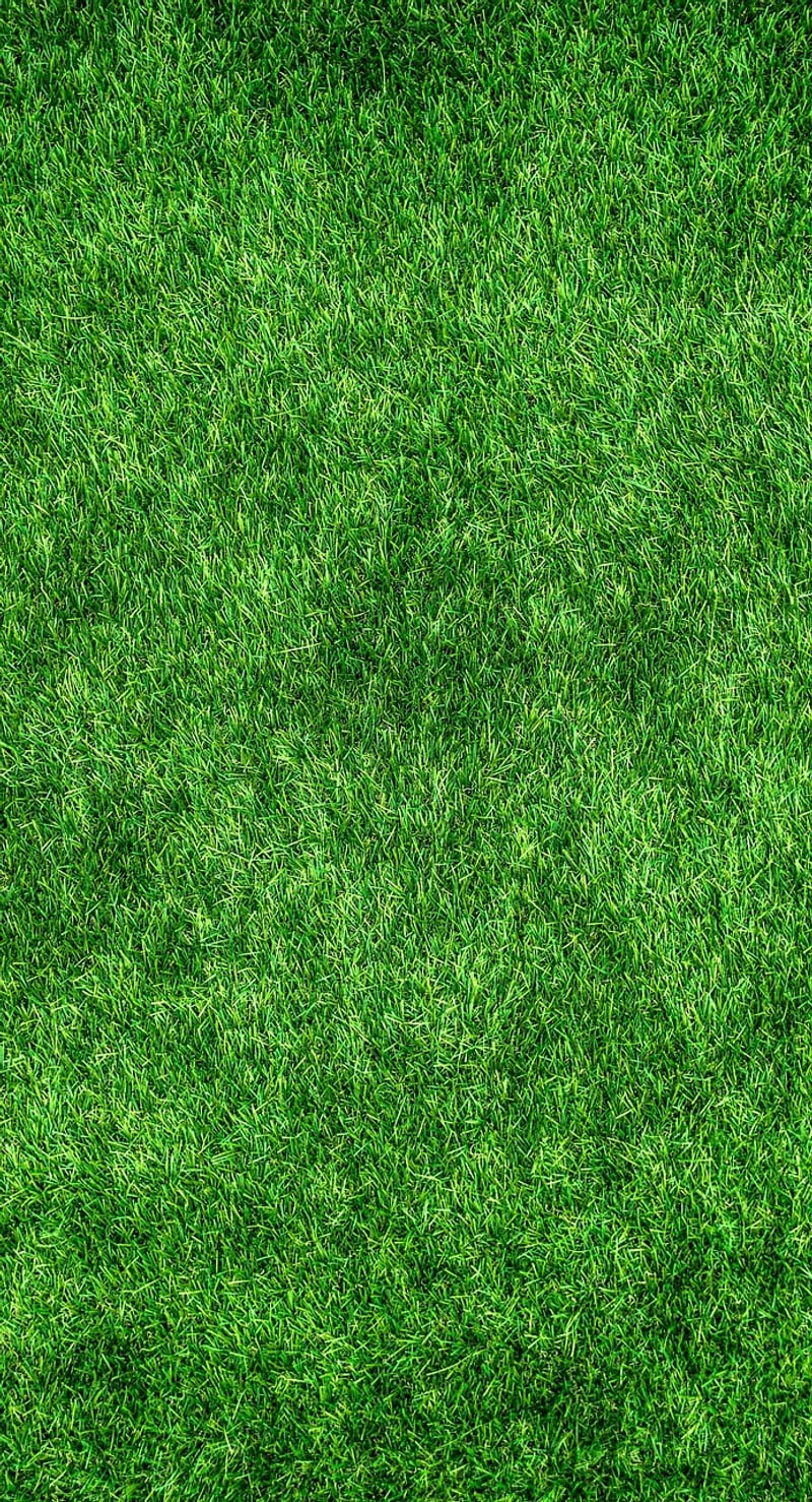 Eco-Friendly Living Ideas